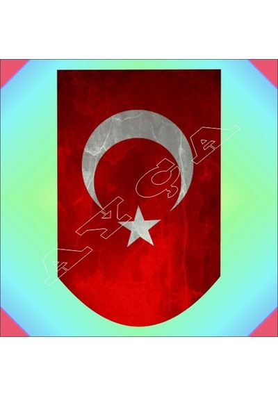 Ay Yildizli Şarjör Altliği N11.185 Çok Renkli