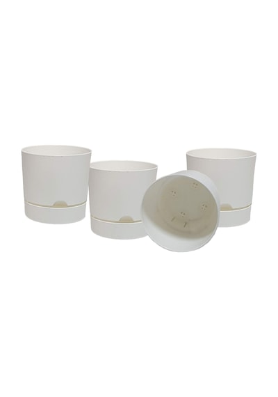 Poliwork 4 Lü Begonya 15 Cm Renkli Plastik Tabaklı Saksı