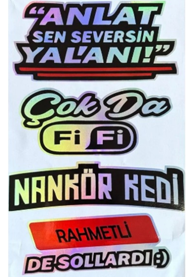 Anlat Sen Seversin Yalanı Nankör Kedi Hologram Arka Cam Sticker 30x20