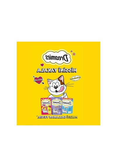 Somonlu Ve Peynirli Kuru Kedi Ödül Yemi 60 G, Lezzetli İkram