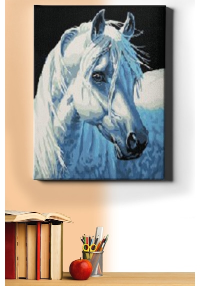 Webstyle Sayılarla Boyama Seti Kasnaklı Kırat 60 X 75 Cm
