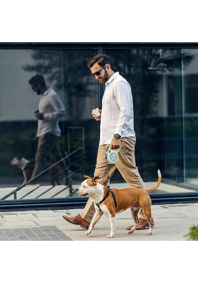 Otomatik Köpek Tasması 5 Metre Yeşil Geri Çekilebilir Kilitli Makara Sistemi Dayanıklı Şerit Halat Ergonomik Kaymaz Sap Küçük Ve Orta Irk Köpekler İçin Gezdirme Tasması