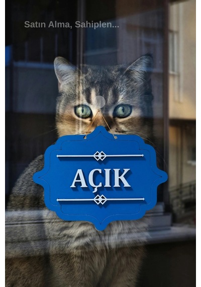 Ahşap Dekoratif Kesim Açık-kapalı Yazısı -saks