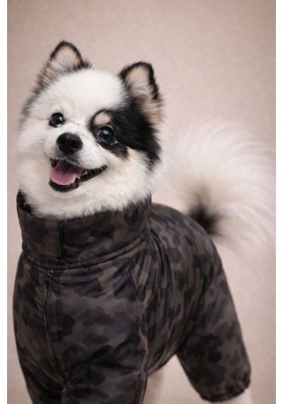Alphadog Icon Polarlı Küçük Irk Köpek Yağmurluk Tulumu