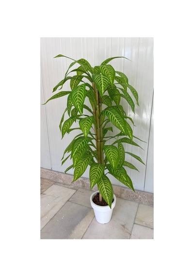120 Cm Yapay Bambu Beyaz Plastik Saksı Dekoratif Ağaç