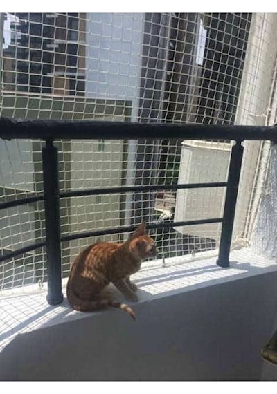 2,50 X 7 Metre Balkon Kedi Güvenlik Filesi Kedi Ağı Kalın Balkon