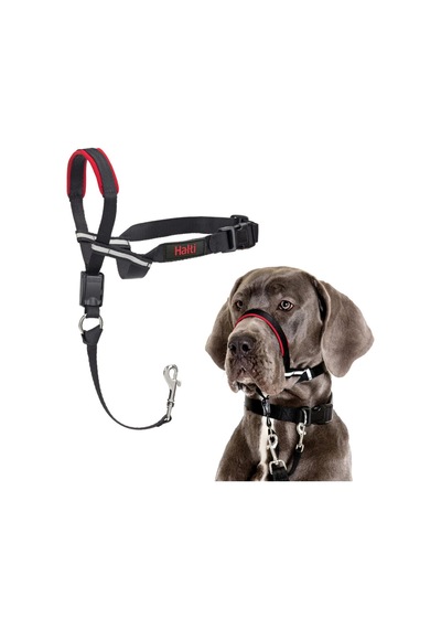 Company Of Animals Halti Optifit Ağızlıklı Tasma, Büyük Boy Siyah Genel