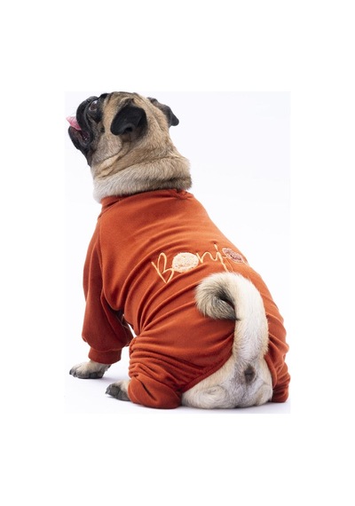 Kiremit Angers Köpek Tulumu Köpek Kıyafeti Kedi Kıyafeti