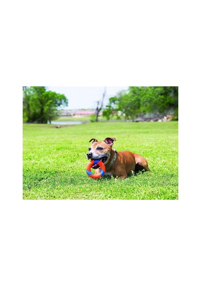 Ultra Ring Köpek Oyun Halkası