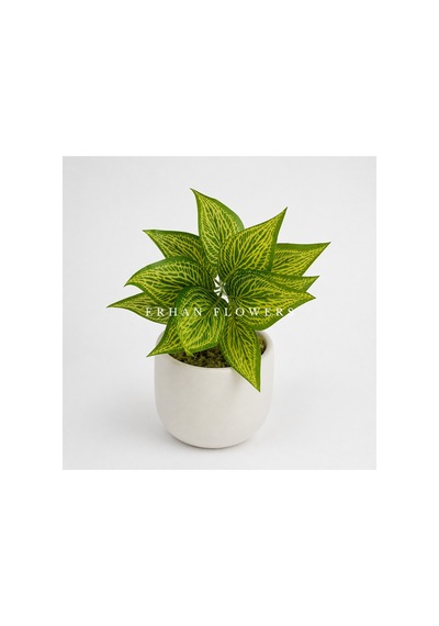 Yapay Sarı Croton Calathea 48 Cm - Dekoratif Vazo İçi Islak Dokulu Yaprak Dalı Saksısız Çok Renkli