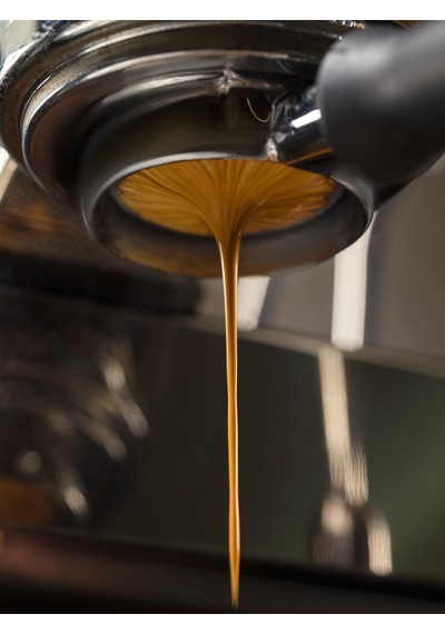 Cartapani 1951 Excelsor Çekirdek Kahve 1 KG