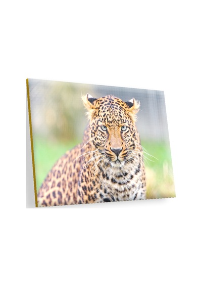 Cakasepetim Genç Leopar Ahşap Mdf Tablo