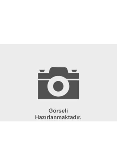 1987302805 7701049263 12v Standart H8 Ampul 35w