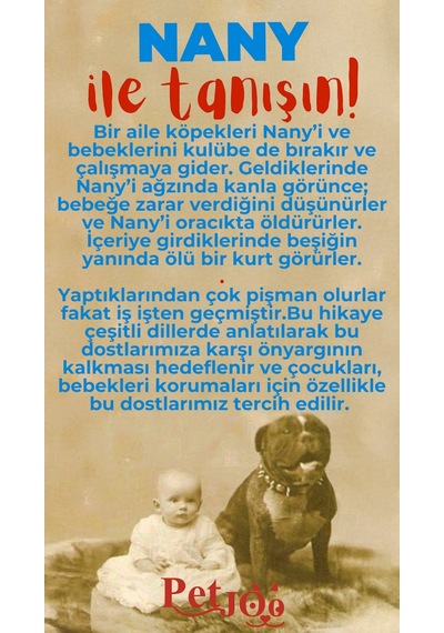 Petjoo 17.Nany Kırmızı-Mavi Qr'lı Köpek Künyesi