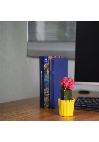 Poliwork Çit Kaktüs Saksı 0,1 Lt 65 60 Mm 17647381