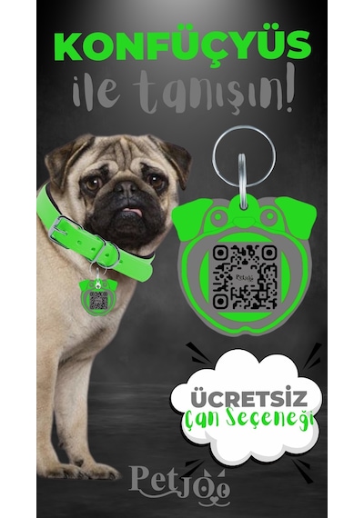 Petjoo 9.Konfüçyüs Gri-Yeşil Qr'lı Köpek Künyesi