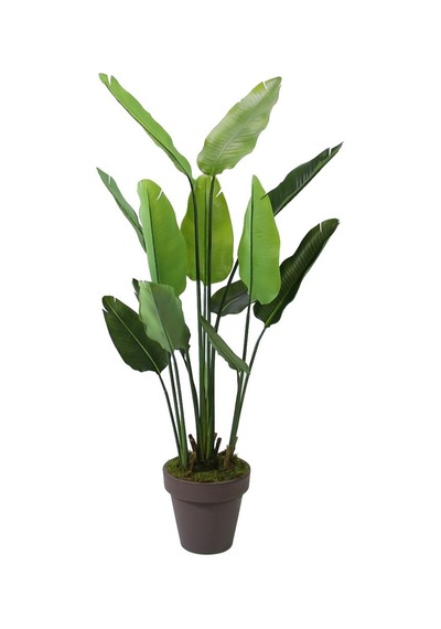Yapay Tropik Starliçe Ağacı 155 Cm-9456