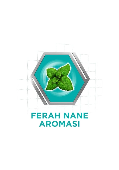 Naneli Diş Protezi Yapıştırıcı Krem 40g