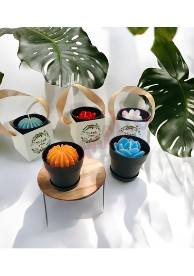 Mumelia Mini Siyah Saksıda Sukulent - Doğal Soya Hediyelik Mum - 15 .