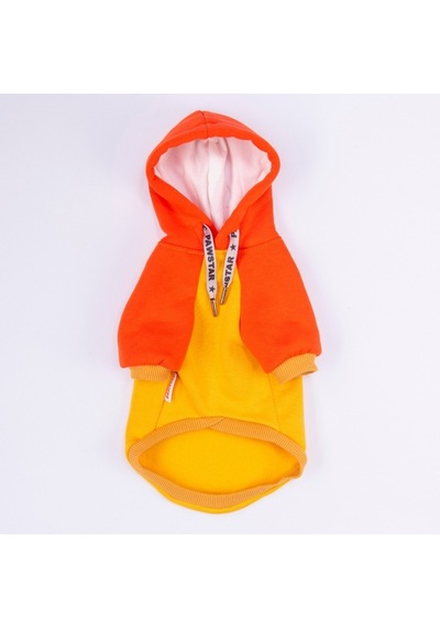 Turuncu Vermont Autumn Köpek Hoodie Köpek Sweat Köpek Kıyafeti Kedi Kıyafeti