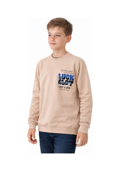 Baglan Erkek Çocuk Önü Arkası Baskılı Sweatshirt Bgl-st05237 Taş