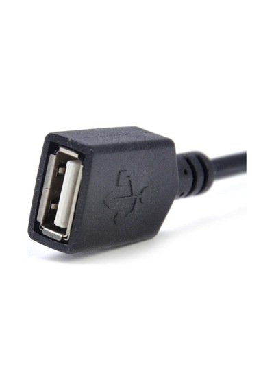Toyota Corolla Camry Prius Rav4 Lexus Usb Mp3 Kablosu Sku67