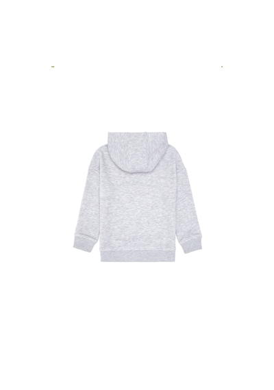 U.S. Polo Assn. Erkek Çocuk Açık Gri Melanj Kapüşonlu Sweatshirt 50313842-VR091