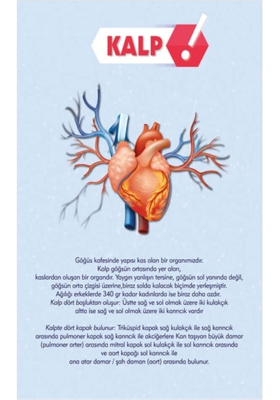 Kalp Afişi
