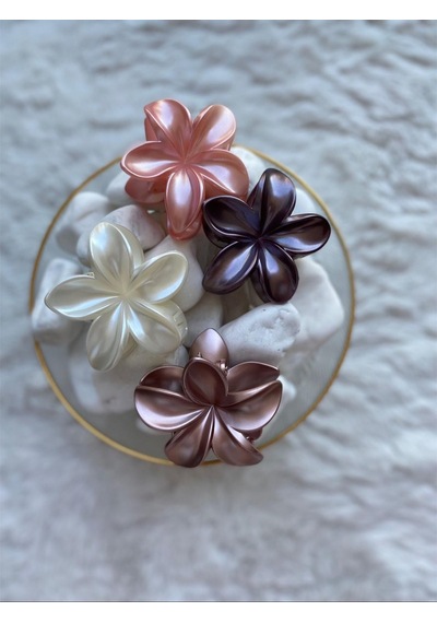 4'lü Set Pastel Mat Renk Lotus Toka Çok Renkli
