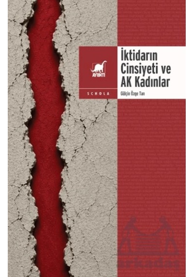 İktidarın Cinsiyeti Ve Ak Kadınlar Ayrıntı Yayınları