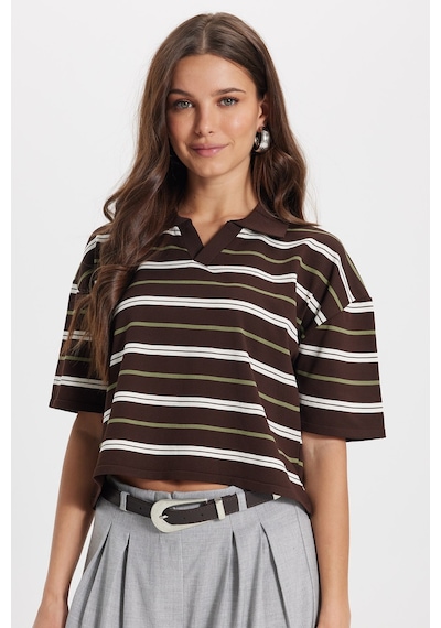 Tudors Kadın Standart Fit Normal Kesim Kısa Kollu Çizgili Kahverengi V Polo Yaka Tişört-50858