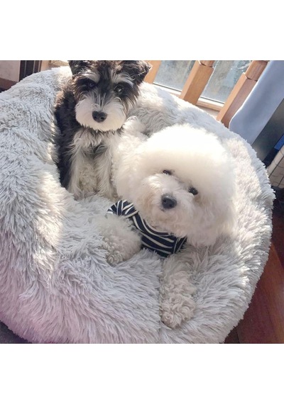 Tr Kedi Yatakları İç Mekan Yuvarlak Donut Evcil Hayvan Yatağı Kaymaz Tabanlı Peluş Sakinleştirici Kedi Yataklar