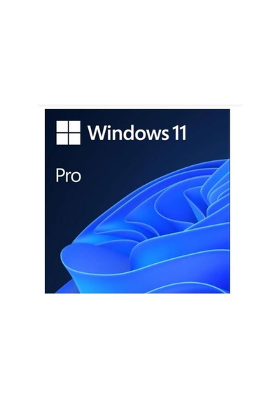 MS WINDOWS 11 PRO 32/64 BIT TR KUTU USB HAV-00159