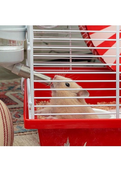 Ferplast Coney Island Hamster Kafesi, 50 X 35 X 36,2 Cm, Çok Renkli