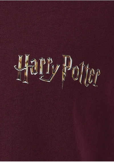 Mavi M0613576-70426 Mavi Harry Potter Baskılı T-shirt Erkek Tişort Bordo