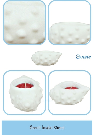 Mumluk Şamdan Tealight Mum Uyumlu Deniz Kabuğu Model - Beyaz