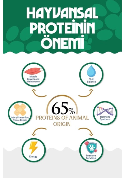 Premıum Somonlu Kuru Kedi Maması 2 Kg Salmon Adult Cat