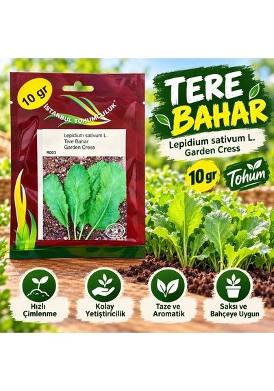 Tere Bahar Tohumu 10 Gr İstanbul Tohumculuk