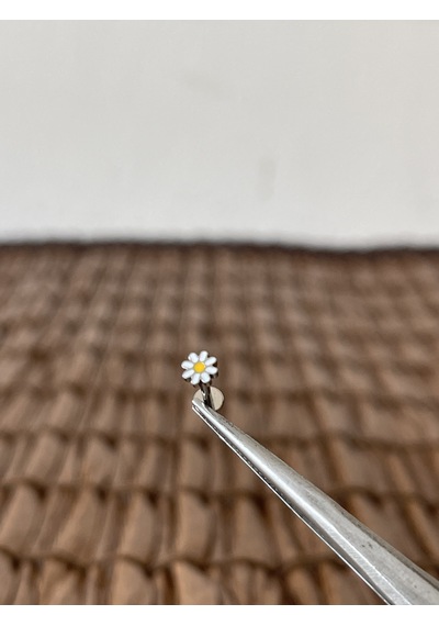 Gerçek Titanium G23 Papatya Titanyum 6x1.2mm Bedenilabret Piercing Gümüş