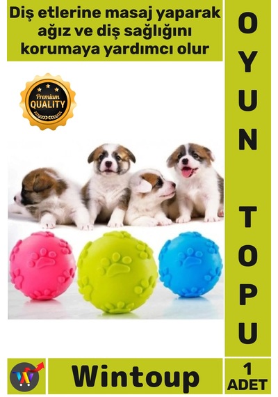 Top Kaliteli Kauçuk Diş Kaşıyıcı İnteraktif Eğitici Çiğneme Oyun Pati Desenli Köpek Isırma Topu