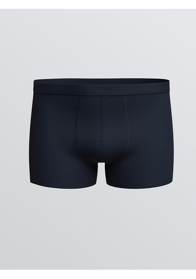 LC Waikiki Lc Waıkıkı İndigo Loose Fit Pamuklu Esnek Erkek Boxer 3'lü