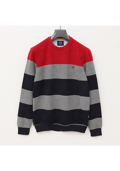 Dio Rise Erkek Uzun Kol İnce Sweatshirt - Czt-110 - Kırmızı Kırmızı