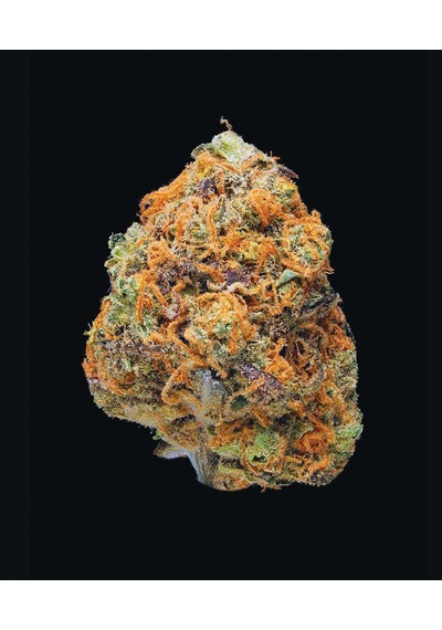 Green: A Field Guide To Marijuana: Books About Marijuana, Guide To Cannabis, Weed Bible