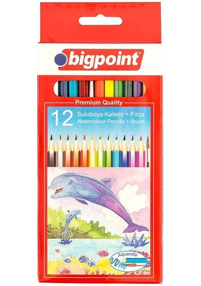 Bigpoint Aquarelle Boya Kalemi 12 Renk  Fırçalı