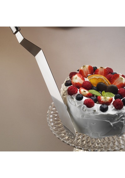 Aryıldız Protools Servis Spatula 23 Cm Renkli