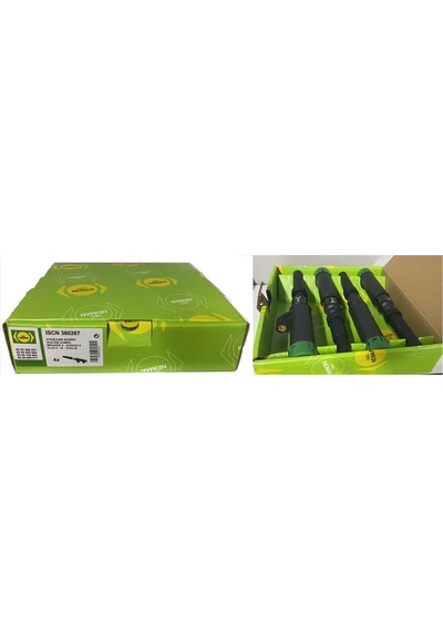 Bescher Atesleme Bobını Megane Kangoo Laguna Clıo Symbol Kalem AOD-NEIMAN 380267