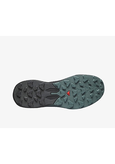 Salomon Pulsar Erkek Outdoor Koşu Ayakkabısı L45433600 Çok Renkli