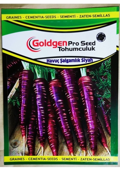 Goldgen Pro Seed Havuç Şalgamlık Siyah