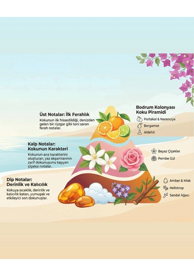 Oxi Natural Premium 80 Kolonya 150ml Pet Şişe Kutulu - Bodrum