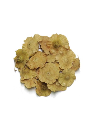 Çaltı Dikeni 70g